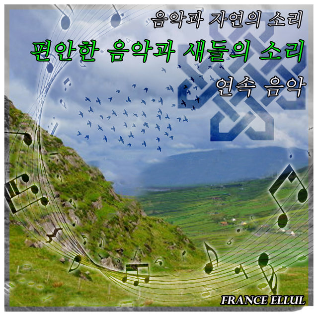 음악과 자연의 소리: 편안한 음악과 새들의 소리