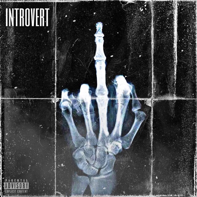 Introvert