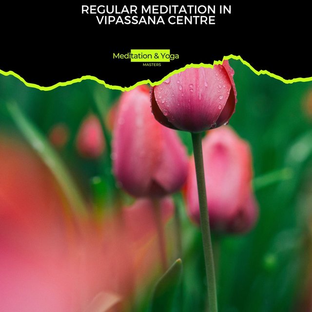 Regular Meditation in Vipassana Centre