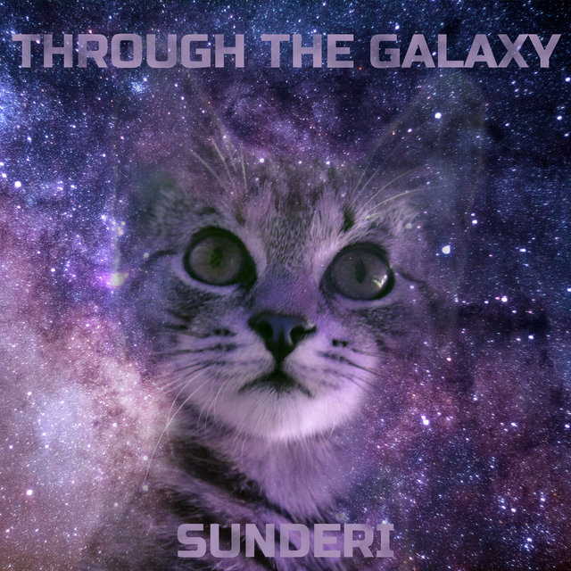 Through the Galaxy