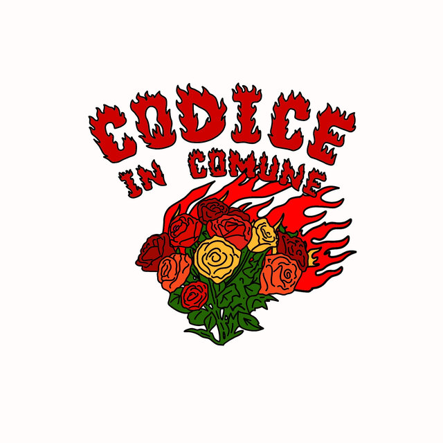 Codice In Comune
