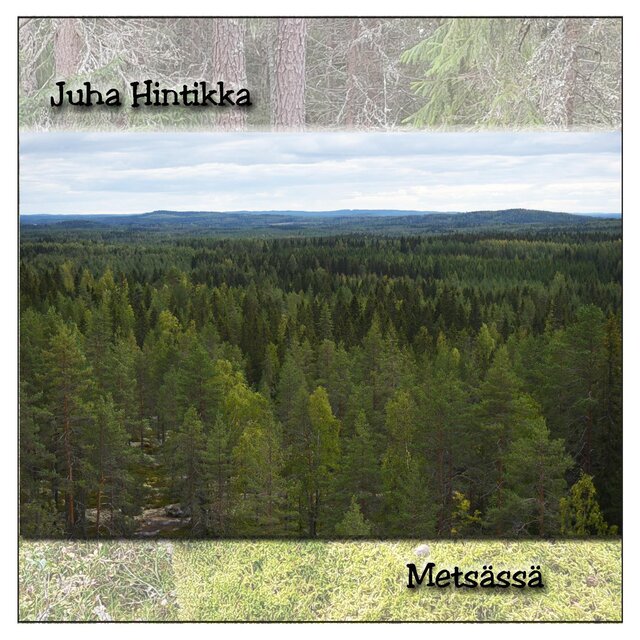 Metsassa