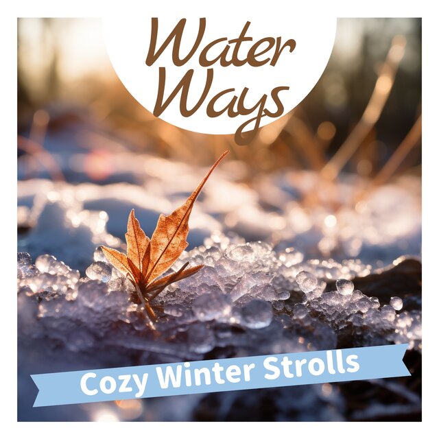 Cozy Winter Strolls 