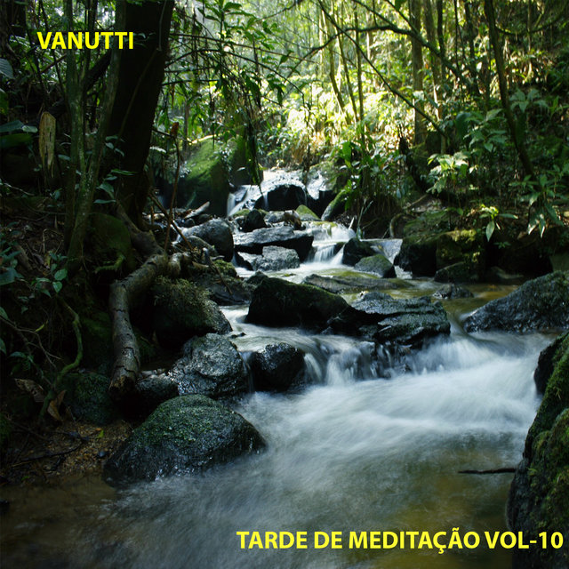 Tarde de Meditação, Vol. 10