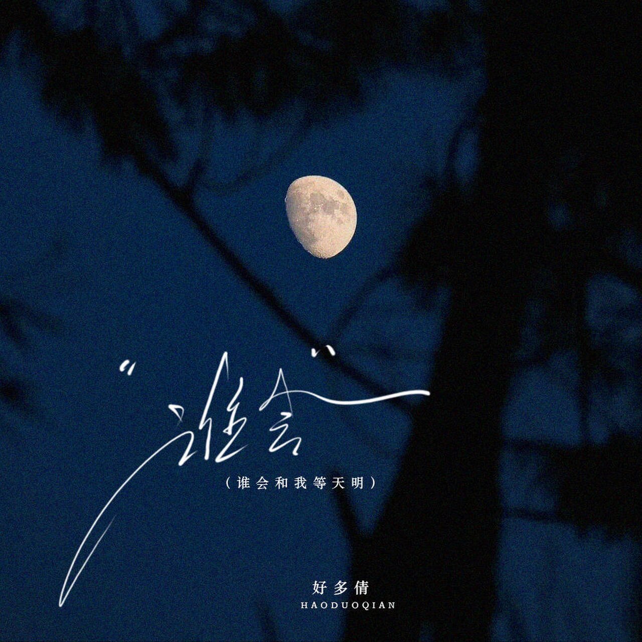好多倩 on TIDAL