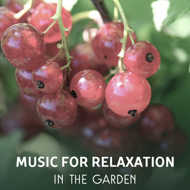 Music for Relaxation in the Garden – Blissful Rest & Renewal, Healing Nature Sounds for Mind Regeneration, Deep Meditation, Positive Attitude