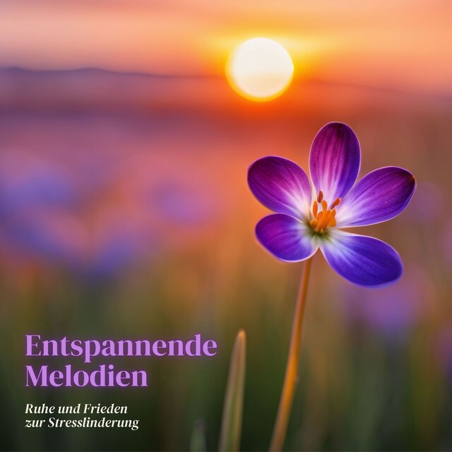Entspannende Melodien: Ruhe und Frieden zur Stresslinderung