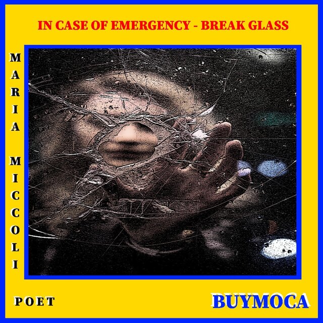 In Case of Emergency Break Glass