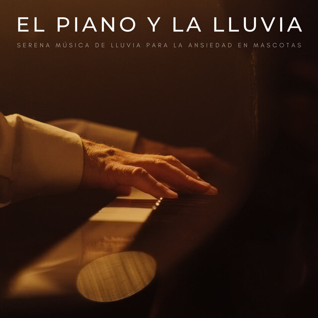 El Piano Y La Lluvia: Serena Música De Lluvia Para La Ansiedad En Mascotas