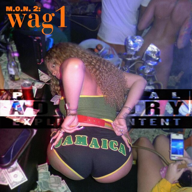 M.O.N. 2: WAG1