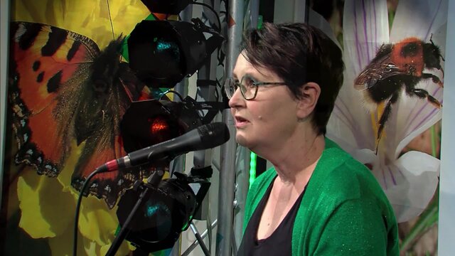 Vier zulle waal zieën LIVE (Live on TV at OR6, 2024)