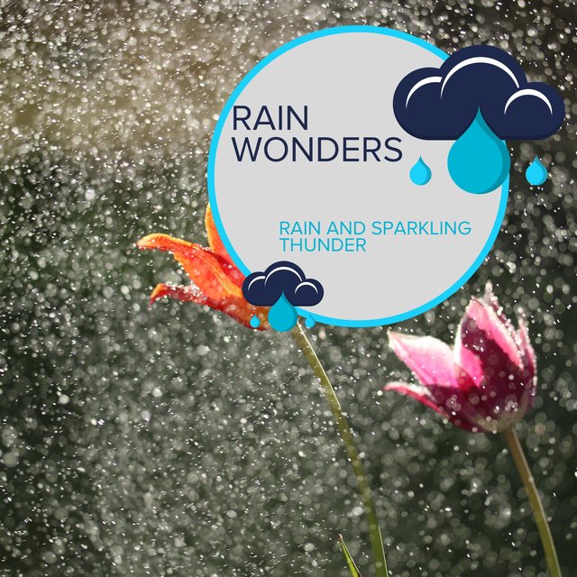 Rain Wonders - Rain and Sparkling Thunder