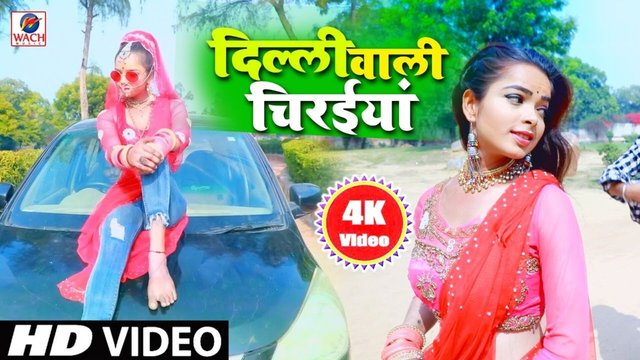 Delhi Wali Chiraiyan  - Bhojpuri Video Song