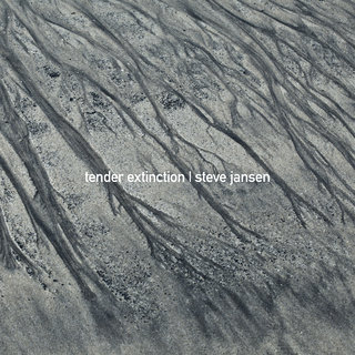 Steve Jansen - TIDAL