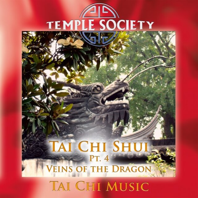 Tai Chi Shui, Pt. 4 - Veins of the Dragon (Tai Chi Version)