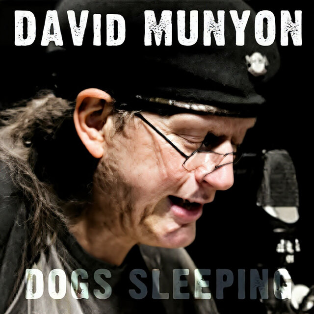 Dogs Sleeping
