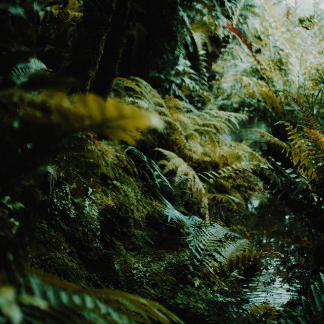 Breathe in (Reimagined)