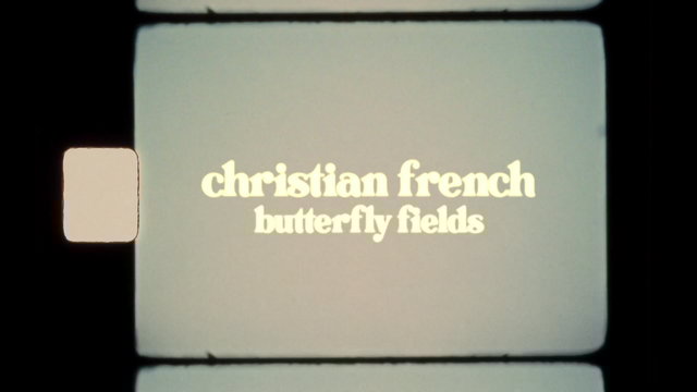 butterfly fields (Lyric Video)