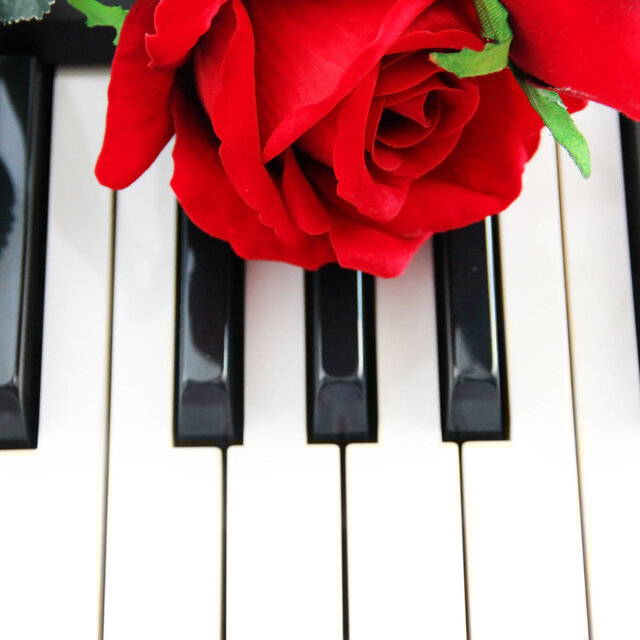 Piano's Reflective Output: Harmonic Work Melodies