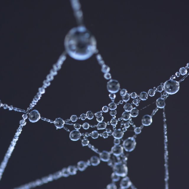 Fancy Nice Rain Drops