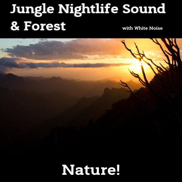 Jungle Nightlife Sound & Forest (With White Noise), Loopable