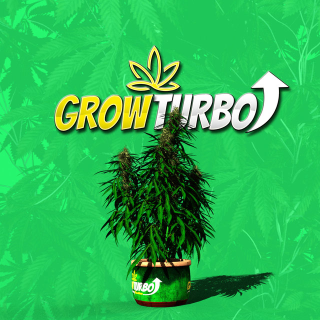 Cannabis Flowering Bloom Booster