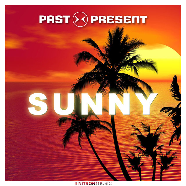 Sunny (Bodybangers Mix)