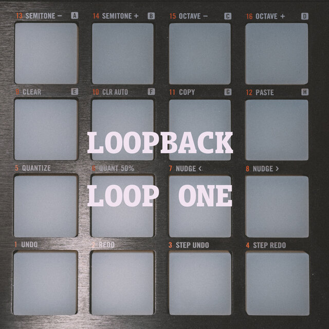 LOOP ONE