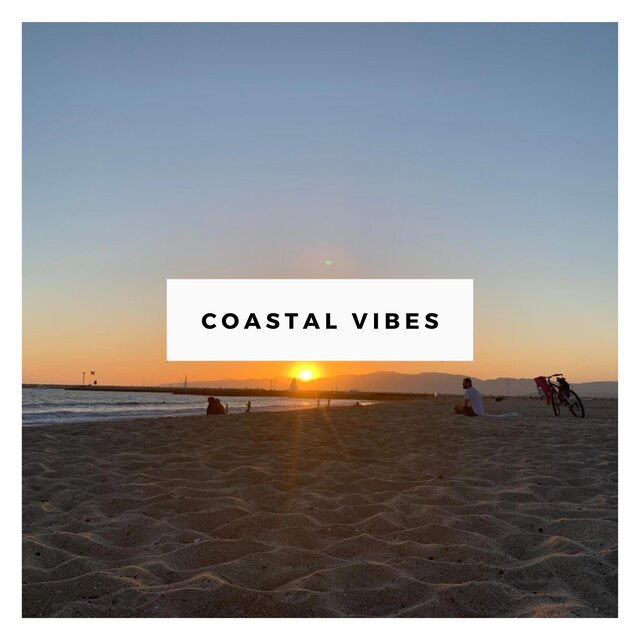 Coastal Vibes