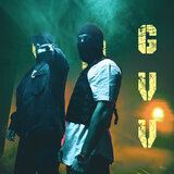 Gvv