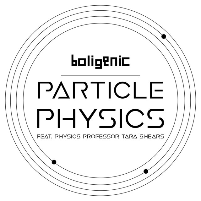 Particle Physics