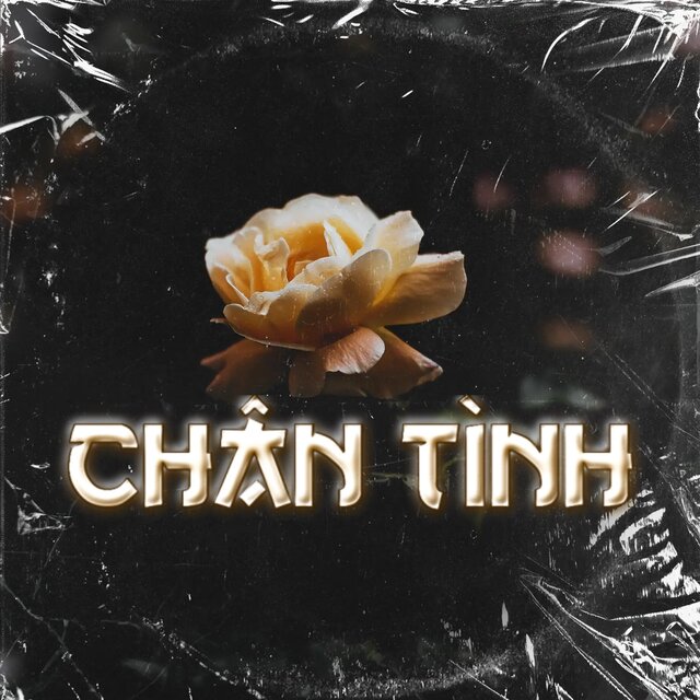 Chân Tình