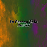 Yo Perreo Sola