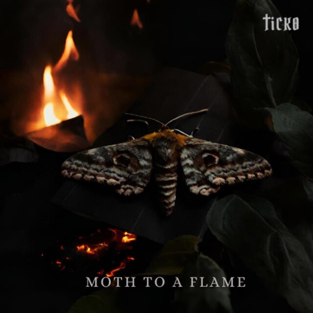 Moth To A Flame