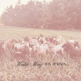 Toy Horses