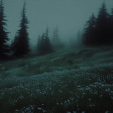 rainfall