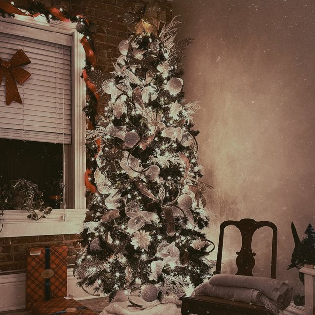 Christmas Break