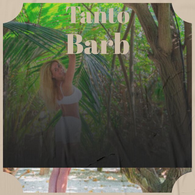 Tanto Barb