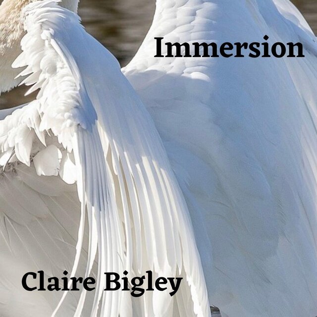 Immersion