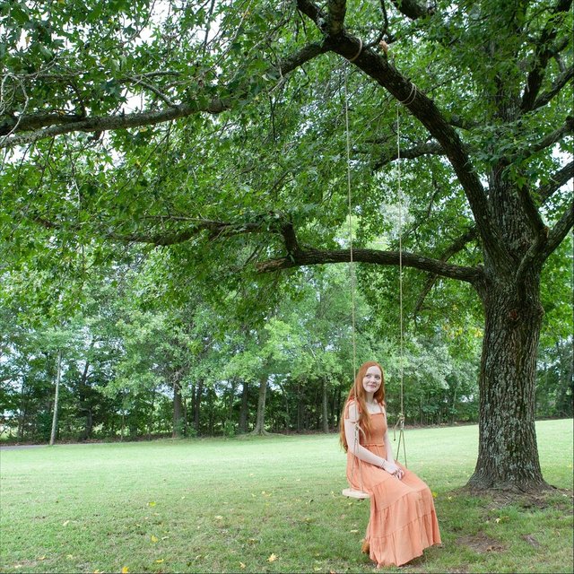 Rooted