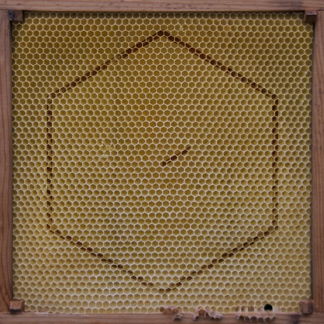 Beekeeper