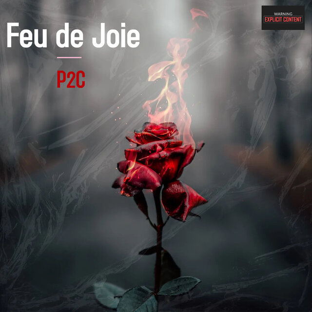 Feu de joie
