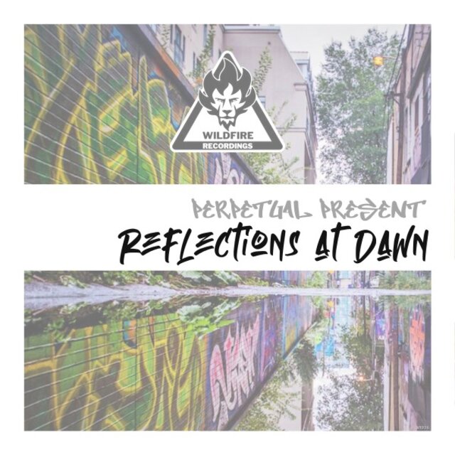 Reflections