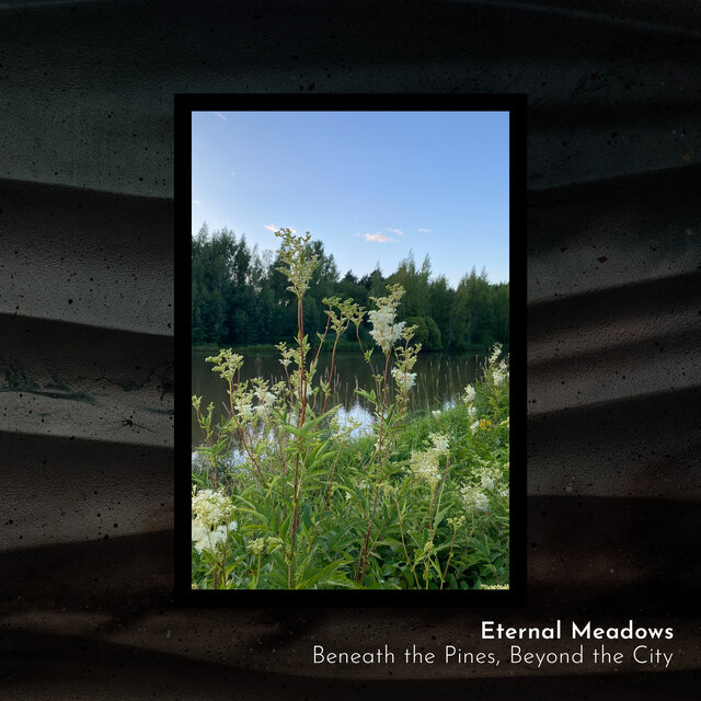 Beneath the Pines, Beyond the City
