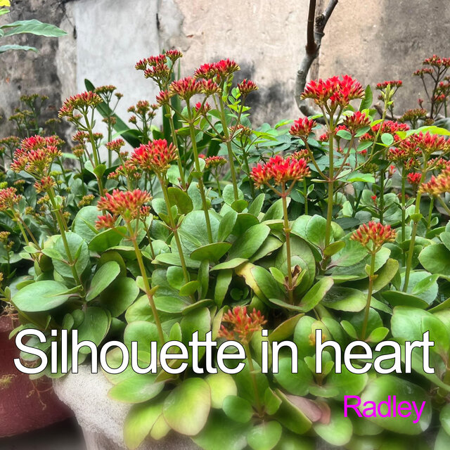 Silhouette in heart