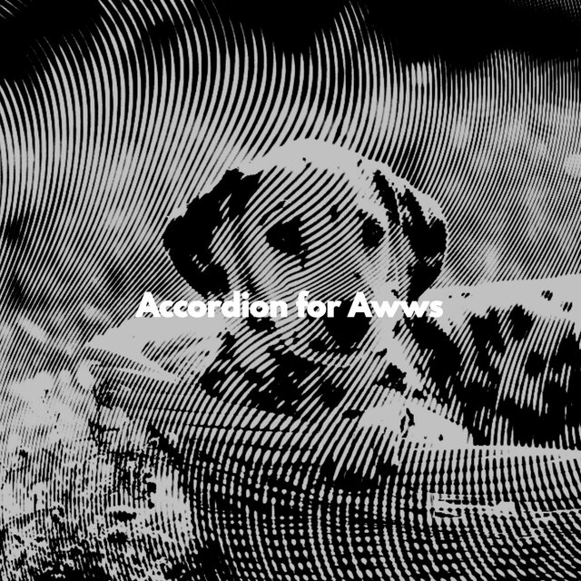 Accordion for Awws