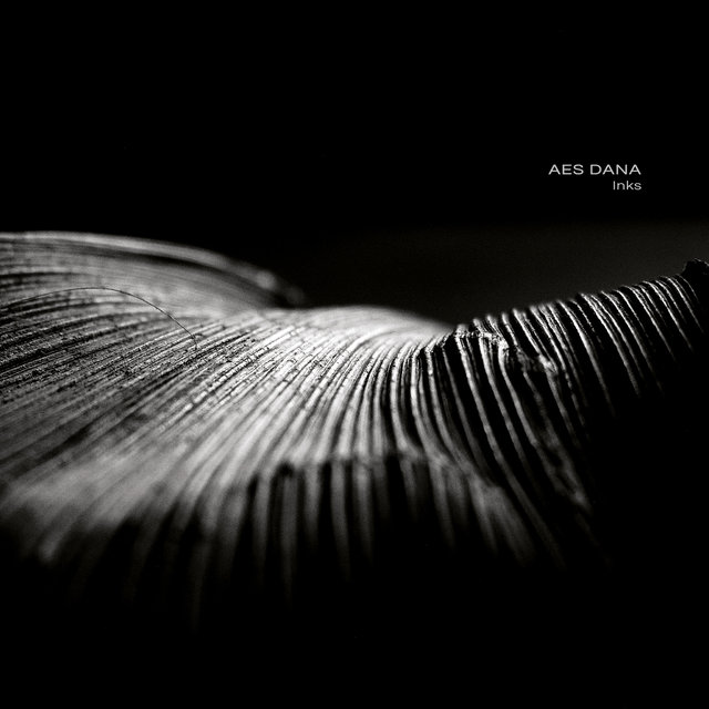 Cover art for album Inks by Aes Dana