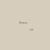 LLAMA (feat. Lunna)