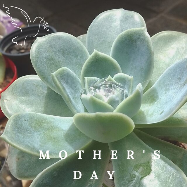 Mother's Day