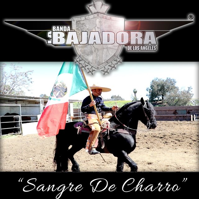 Sangre de Charro